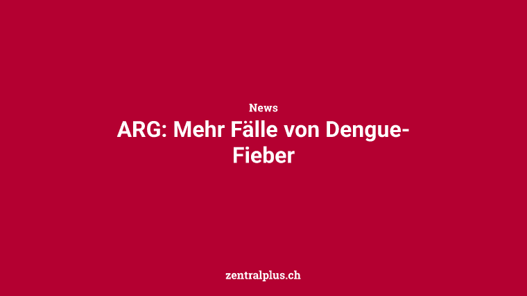 ARG: Mehr Fälle von Dengue-Fieber