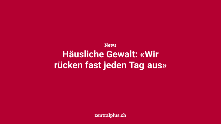 Häusliche Gewalt: «Wir rücken fast jeden Tag aus»