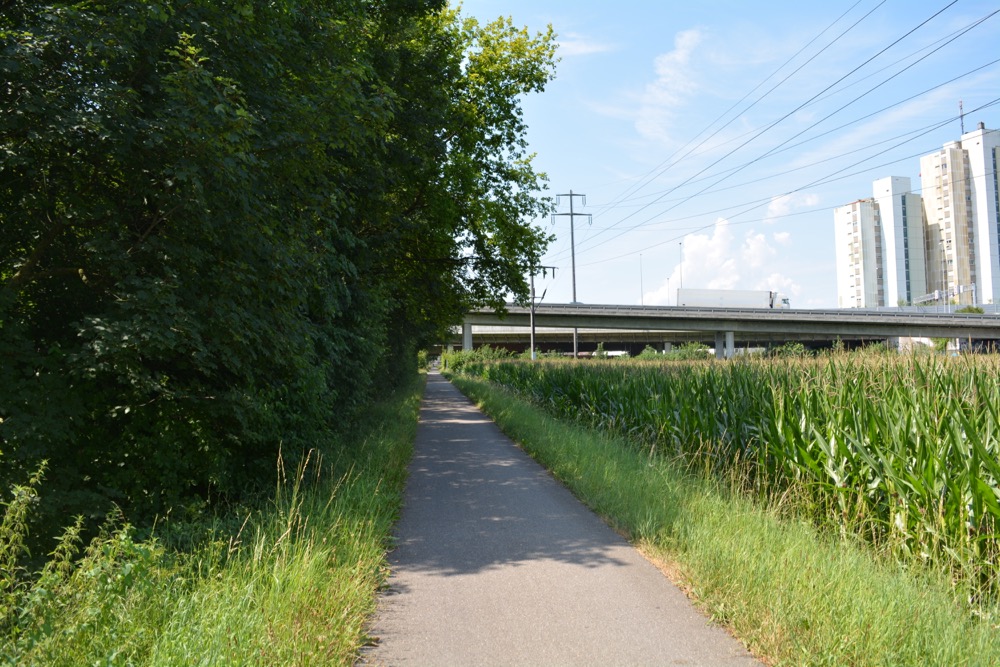 Hier ist es passiert: Dammweg am Ufer der Reuss in Emmen.