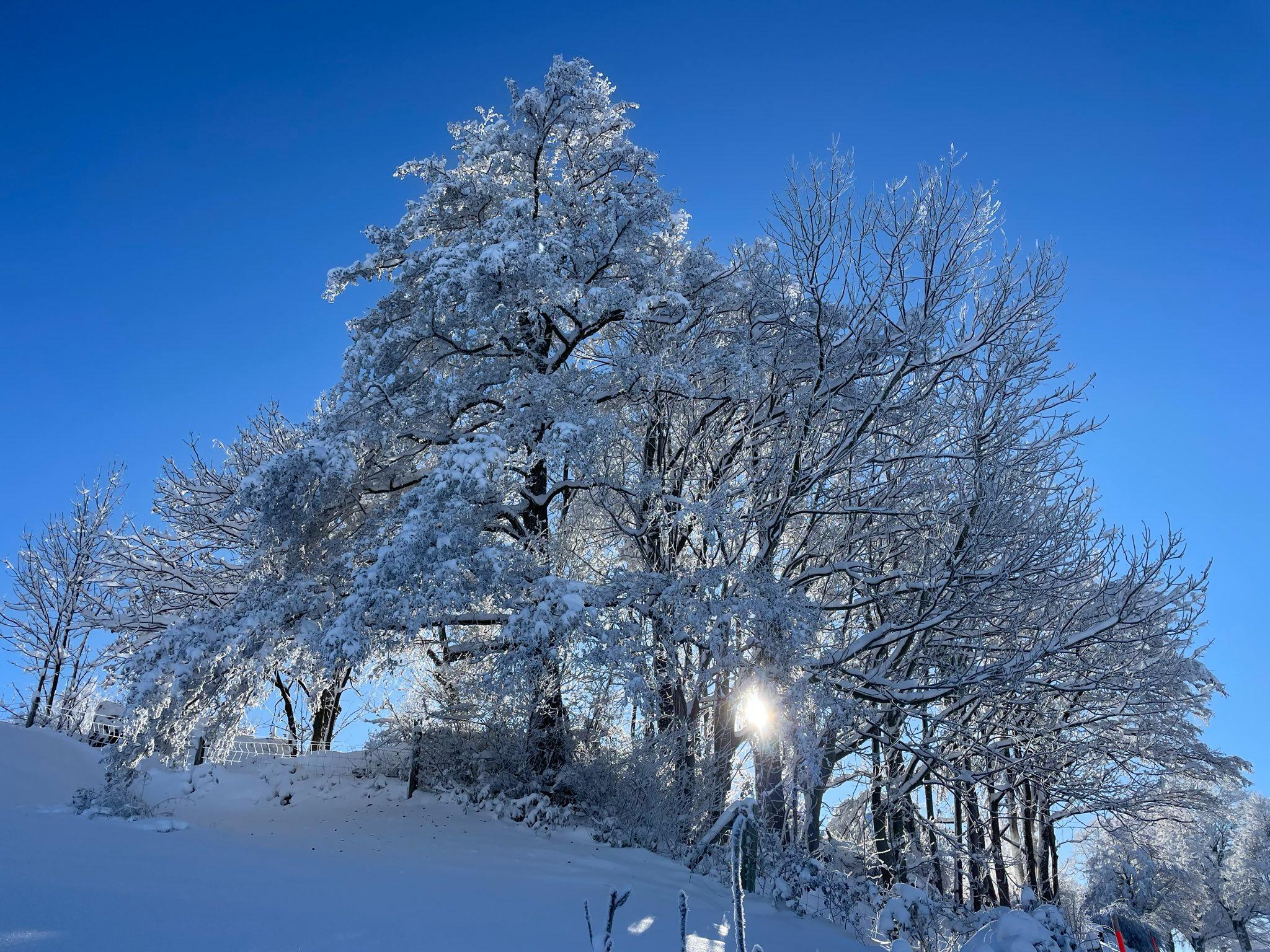 Schneezauber: Zehn winterliche Momente in Zug und Luzern | zentralplus